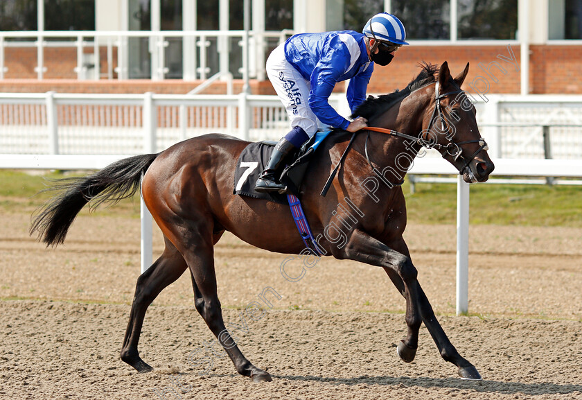 Qaasid-0001 
 QAASID (Jim Crowley)
Chelmsford 20 Sep 2020 - Pic Steven Cargill / Racingfotos.com