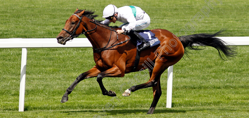 Friendly-Soul-0005 
 FRIENDLY SOUL (Kieran Shoemark) wins The Longines Valiant Stakes
Ascot 27 Jul 2024 - Pic Steven Cargill / Racingfotos.com