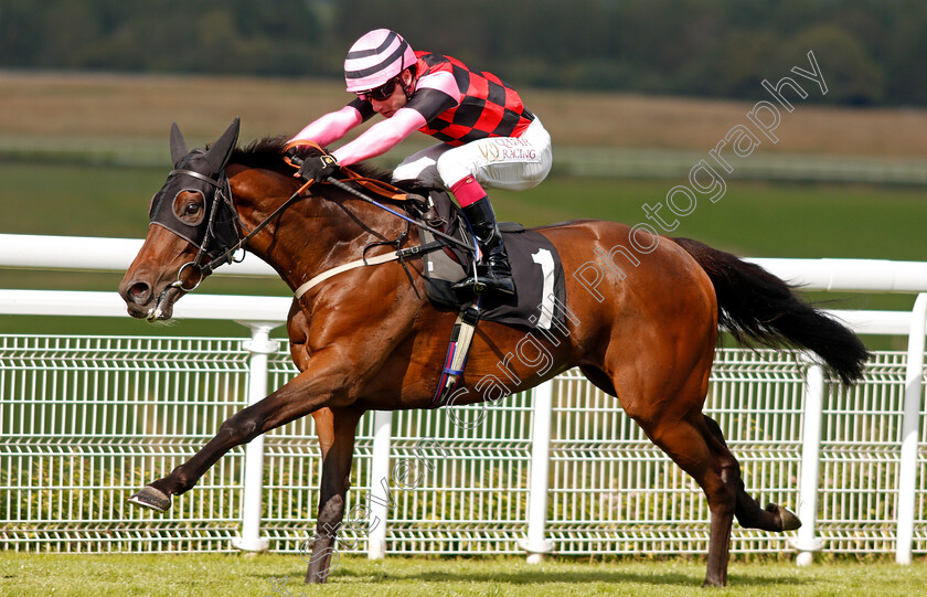 Aggagio-0004 
 AGGAGIO (Oisin Murphy) wins The tote.co.uk Selling Stakes
Goodwood 29 Aug 2021 - Pic Steven Cargill / Racingfotos.com