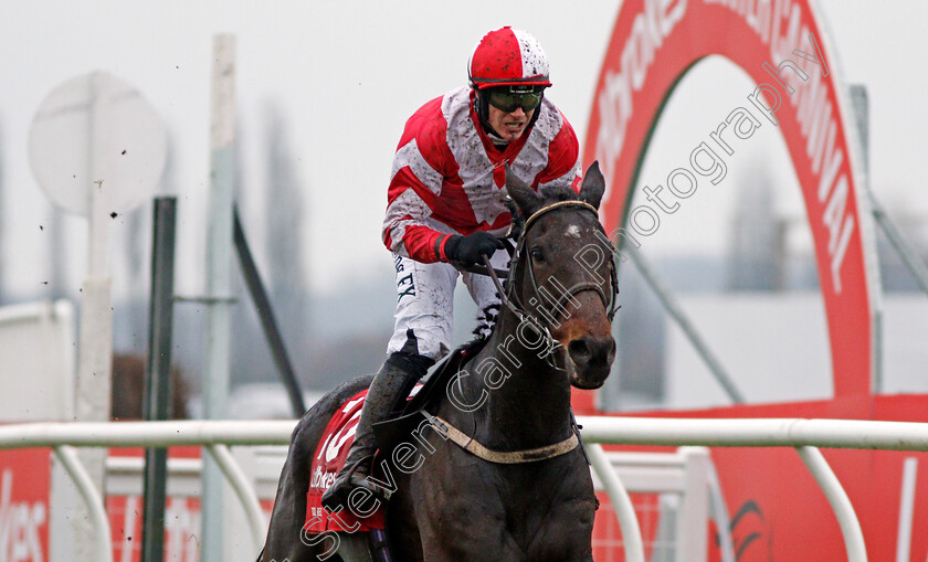 Total-Recall-0003 
 TOTAL RECALL (Paul Townend) wins The Ladbrokes Trophy Chase Newbury 2 Dec 2017 - Pic Steven Cargill / Racingfotos.com