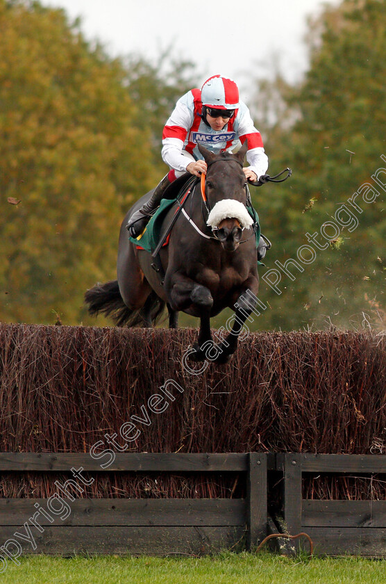 Skandiburg-0001 
 SKANDIBURG (Aidan Coleman)
Fakenham 16 Oct 2020 - Pic Steven Cargill / Racingfotos.com