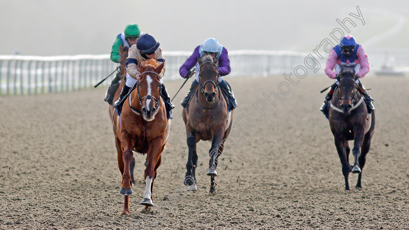 Going-Places-0005 
 GOING PLACES (Hollie Doyle) wins The Bombardier March To Your Own Drum Novice Stakes
Lingfield 9 Jan 2021 - Pic Steven Cargill / Racingfotos.com