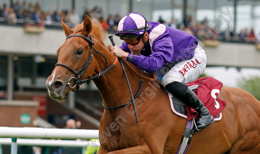 Stage-Effect-0001 
 STAGE EFFECT (Tom Marquand) wins The A&B Engineering Mechanical and Electrical Services EBF Maiden Fillies Stakes
Haydock 24 May 2024 - Pic Steven Cargill / Racingfotos.com