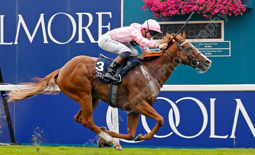 Live-In-The-Dream-0002 
 LIVE IN THE DREAM (Sean Kirrane) wins The Coolmore Nunthorpe Stakes
York 25 Aug 2023 - Pic Steven Cargill / Racingfotos.com