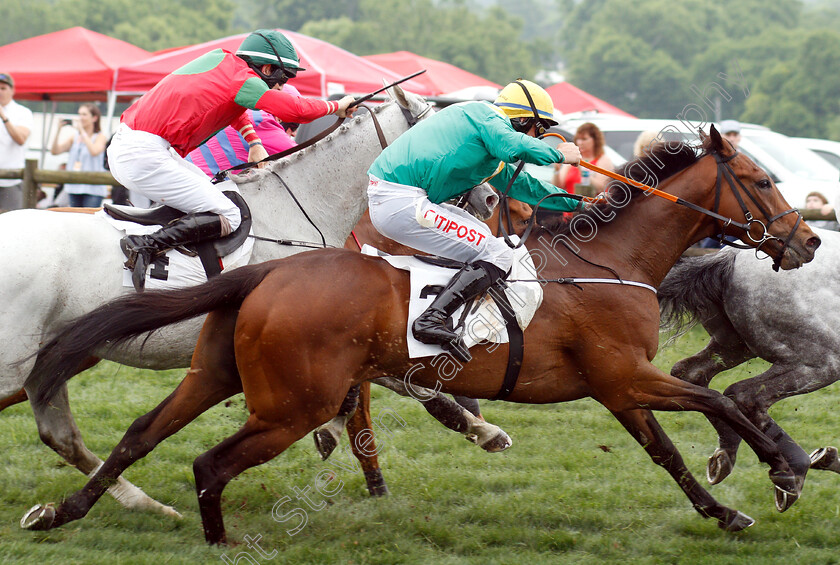 Chief-Justice-0001 
 CHIEF JUSTICE (Davy Russell) finishing 4th in The Marcellus Frost Champion Hurdle
Percy Warner Park, Nashville Tennessee USA, 11 May 2019 - Pic Steven Cargill / Racingfotos.com