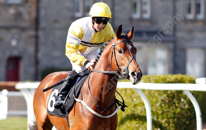 War-Of-Clans-0001 
 WAR OF CLANS (Ben Curtis)
Musselburgh 2 Apr 2019 - Pic Steven Cargill / Racingfotos.com