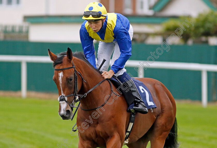 Commander-Of-Life-0001 
 COMMANDER OF LIFE (Billy Loughnane)
Yarmouth 21 Sep 2023 - Pic Steven Cargill / Racingfotos.com