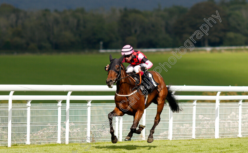 Aggagio-0002 
 AGGAGIO (Oisin Murphy) wins The tote.co.uk Selling Stakes
Goodwood 29 Aug 2021 - Pic Steven Cargill / Racingfotos.com