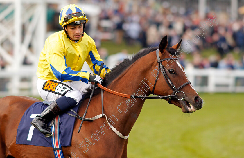 Somethingthrilling-0001 
 SOMETHINGTHRILLING (Silvestre De Sousa) Yarmouth 20 Sep 2017 - Pic Steven Cargill / Racingfotos.com