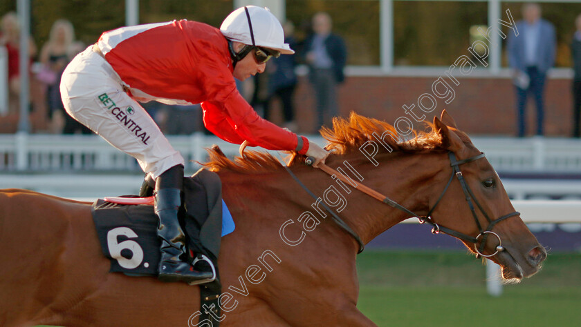 Protest-0002 
 PROTEST (Jack Mitchell) wins The Juddmonte EBF Fillies Restricted Novice Stakes
Chelmsford 3 Oct 2024 - Pic Steven Cargill / Racingfotos.com