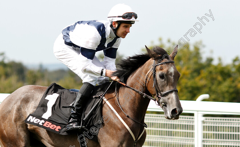 Bella-Vita-0002 
 BELLA VITA (Charles Bishop)
Goodwood 4 Sep 2018 - Pic Steven Cargill / Racingfotos.com