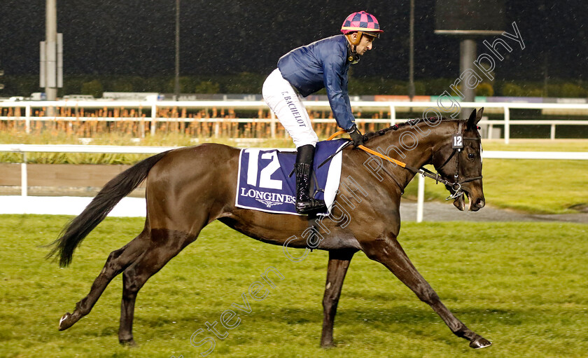 Solaire-0001 
 SOLAIRE (Theo Bachelot)
Meydan 27 Jan 2023 - Pic Steven Cargill / Racingfotos.com