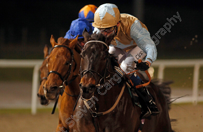 Variyann-0004 
 VARIYANN (Kieran Shoemark) wins The tote.co.uk Now Never Beaten By Sp Handicap
Chelmsford 22 Jan 2021 - Pic Steven Cargill / Racingfotos.com