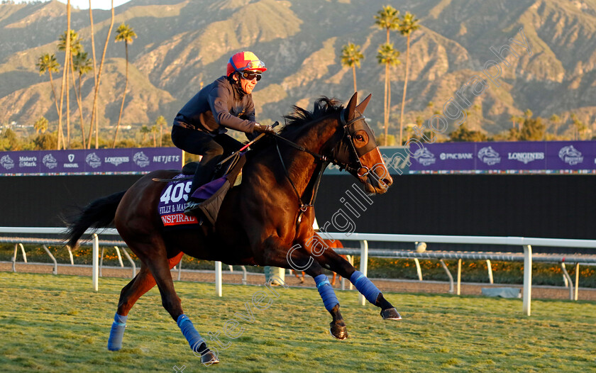 Inspiral-0002 
 INSPIRAL (Frankie Dettori) training for the Breeders' Cup Filly & Mare Turf
Santa Anita USA, 1 Nov 2023 - Pic Steven Cargill / Racingfotos.com