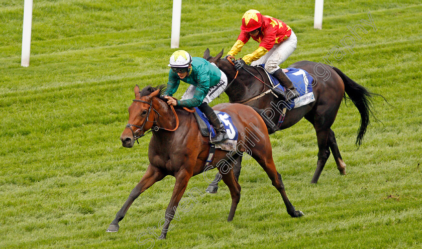 Hereby-0004 
 HEREBY (Harry Bentley) wins The Londonmetric Noel Murless Stakes
Ascot 4 Oct 2019 - Pic Steven Cargill / Racingfotos.com