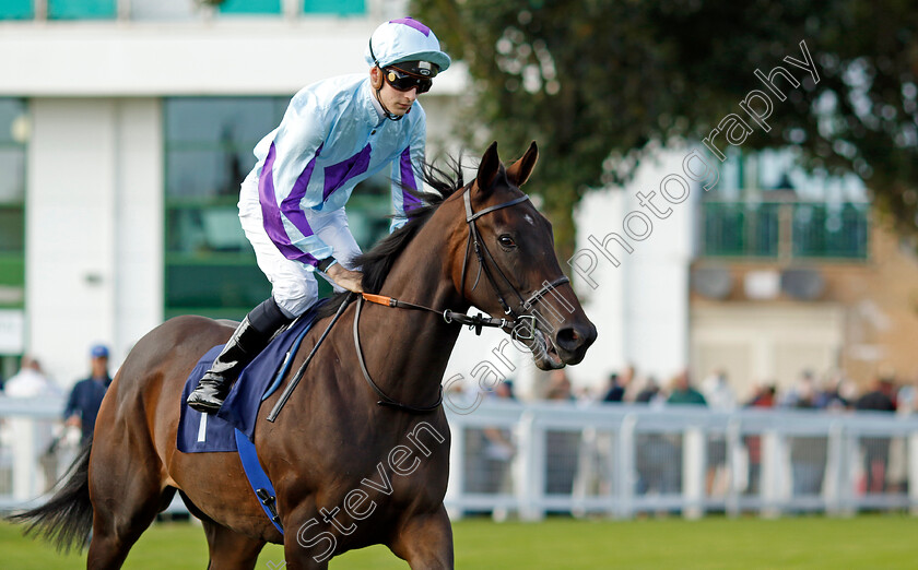 Romantic-Spirit-0001 
 ROMANTIC SPIRIT (Harry Davies)
Yarmouth 17 Sep 2024 - Pic Steven Cargill / Racingfotos.com