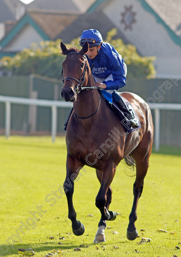 Show-Lights-0002 
 SHOW LIGHTS (William Buick)
Yarmouth 19 Oct 2021 - Pic Steven Cargill / Racingfotos.com