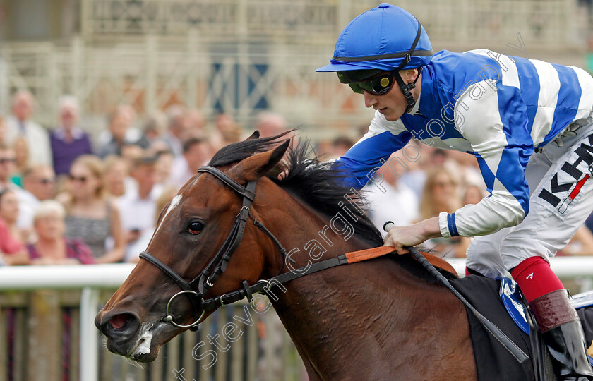 Les-Bleus-0001 
 LES BLEUS (David Egan) wins The British Stallion Studs EBF Restricted Novice Stakes
Newmarket 28 Jul 2023 - Pic Steven Cargill / Racingfotos.com