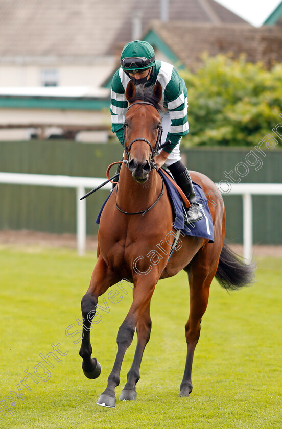 Alicestar-0002 
 ALICESTAR (Tom Marquand) before winning The Southwold Novice Auction Stakes
Yarmouth 22 Jul 2020 - Pic Steven Cargill / Racingfotos.com