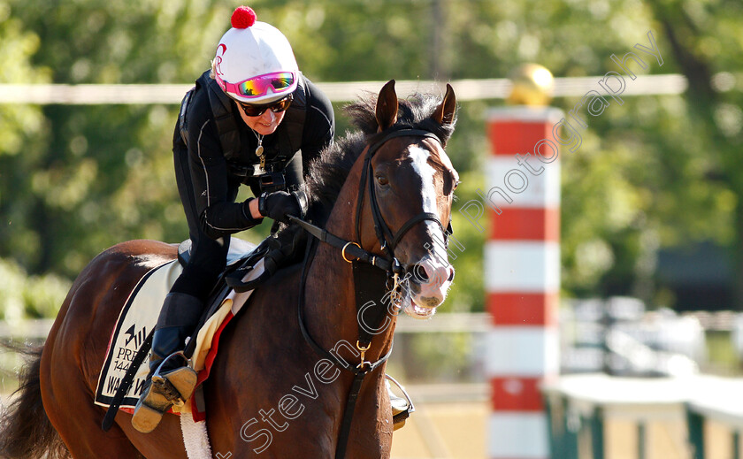 War-Of-Will-0014 
 WAR OF WILL exercising in preparation for the Preakness Stakes
Pimlico, Baltimore USA, 15 May 2019 - Pic Steven Cargill / Racingfotos.com