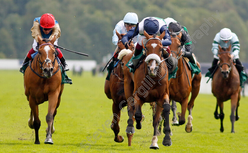 Coltrane-0004 
 COLTRANE (Oisin Murphy) beats COURAGE MON AMI (left) in The Weatherbys Hamilton Lonsdale Cup
York 25 Aug 2023 - Pic Steven Cargill / Racingfotos.com