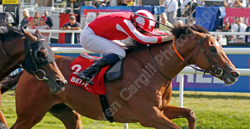 Bay-City-Roller-0001 
 BAY CITY ROLLER (Callum Shepherd) wins The Betfred Champagne Stakes
Doncaster 14 Sep 2024 - Pic Steven Cargill / Racingfotos.com