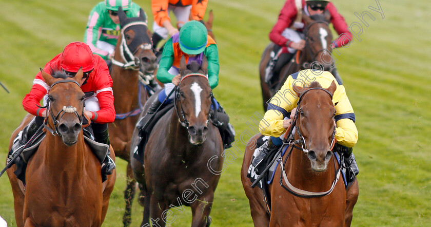 Justanotherbottle-0005 
 JUSTANOTHERBOTTLE (right, William Buick) beats EMBOUR (left) in The Play 4 To Score At Betway Handicap
Sandown 31 Aug 2019 - Pic Steven Cargill / Racingfotos.com