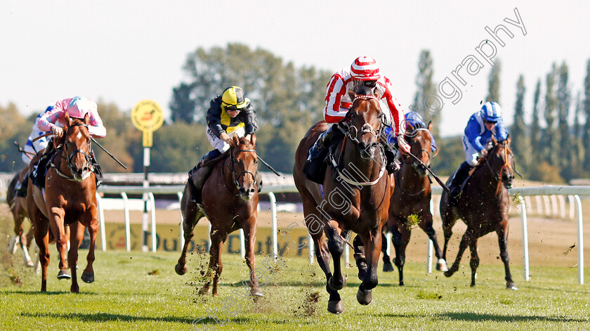 Smokey-Bear-0003 
 SMOKEY BEAR (Jason Watson) wins The British Stallion Studs EBF Maiden Stakes Div2
Newbury 20 Sep 2019 - Pic Steven Cargill / Racingfotos.com