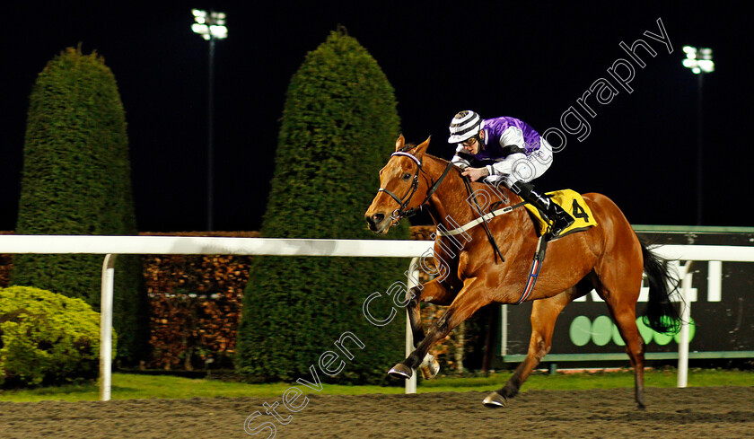 Born-To-Be-Alive-0002 
 BORN TO BE ALIVE (Clifford Lee) wins The Unibet 3 Uniboosts A Day Handicap
Kempton 3 Feb 2021 - Pic Steven Cargill / Racingfotos.com