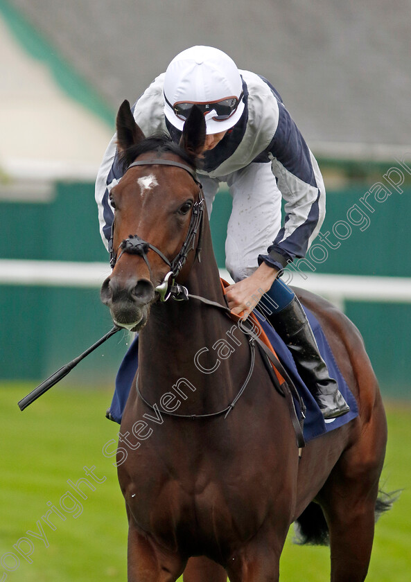 Piz-Nair-0001 
 PIZ NAIR (Callum Shepherd)
Yarmouth 21 Sep 2023 - Pic Steven Cargill / Racingfotos.com