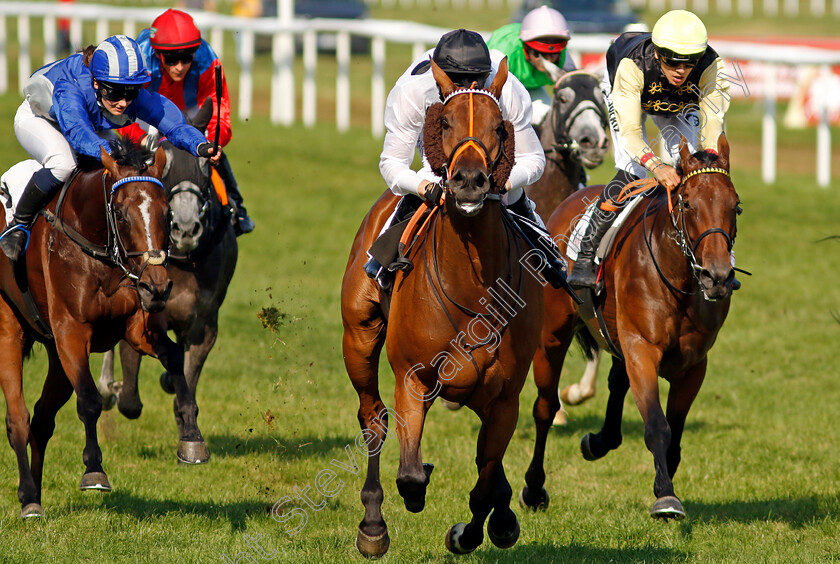 Tiffany-0004 
 TIFFANY (Luke Morris) wins The T. Von Zastrow Stutenpreis (Group 2)
Baden-Baden 31 Aug 2024 - Pic Steven Cargill / Racingfotos.com