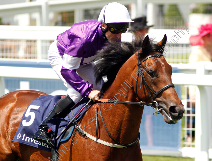 Ship-Of-The-Fen-0001 
 SHIP OF THE FEN (John Egan)
Epsom 2 Jun 2018 - Pic Steven Cargill / Racingfotos.com