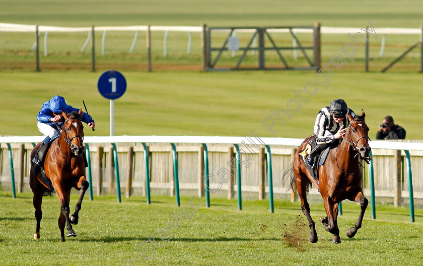 High-Fibre-0002 
 HIGH FIBRE (Rob Hornby) beats NEW MISSION (left) in The 888sport What's Your Thinking Nursery
Newmarket 30 Oct 2021 - Pic Steven Cargill / Racingfotos.com