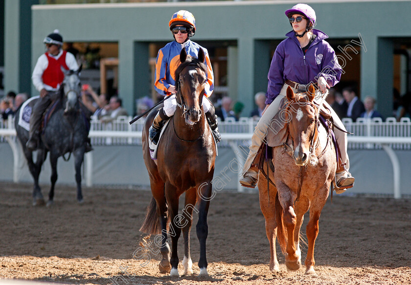 King-Neptune-0002 
 KING NEPTUNE (Ryan Moore)
Santa Anita 1 Nov 2019 - Pic Steven Cargill / Racingfotos.com