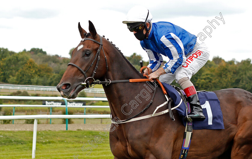 King-Zain-0001 
 KING ZAIN (Franny Norton) winner of The Betway EBF Novice Stakes
Lingfield 7 Sep 2020 - Pic Steven Cargill / Racingfotos.com