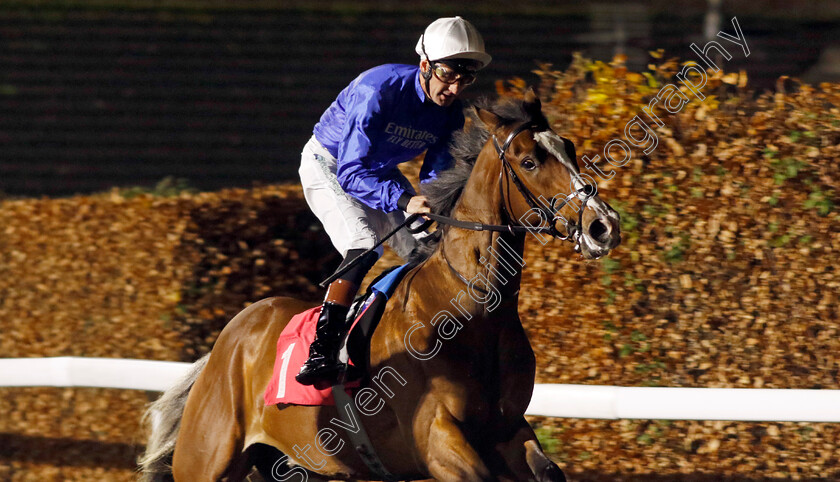 Spectacular-View-0001 
 SPECTACULAR VIEW (Dougie Costello)
Kempton 4 Dec 2024 - Pic Steven Cargill / Racingfotos.com