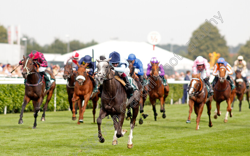 Harrow-0001 
 HARROW (Oisin Murphy) wins The Weatherbys Scientific £200,000 2-y-o Stakes
Doncaster 9 Sep 2021 - Pic Steven Cargill / Racingfotos.com