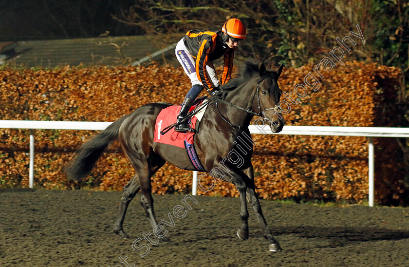 Asimov-0001 
 ASIMOV (Daniel Muscutt)
Kempton 6 Dec 2023 - Pic Steven Cargill / Racingfotos.com