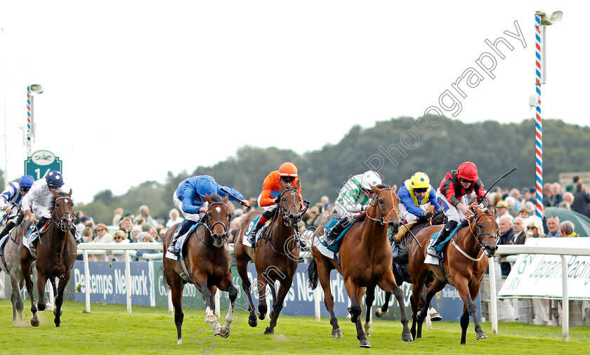 Angel-Hunter-0005 
 ANGEL HUNTER (2nd right, Ryan Moore) beats AGE OF GOLD (left) in The sensory-junction.co.uk Autism Awareness EBF Stallions Nursery
York 22 Aug 2024 - Pic Steven Cargill / Racingfotos.com