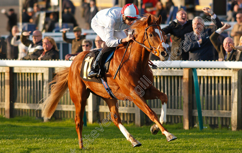 Lawful-Command-0004 
 LAWFUL COMMAND (Louis Steward) wins The Jean Bucknell A Lifetime In Racing Nursery
Newmarket 20 Oct 2021 - Pic Steven Cargill / Racingfotos.com