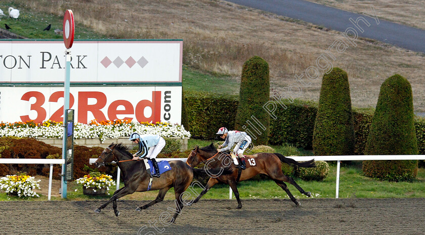 Magellan-0002 
 MAGELLAN (James Doyle) wins The 32Red Casino Handicap
Kempton 8 Aug 2018 - Pic Steven Cargill / Racingfotos.com