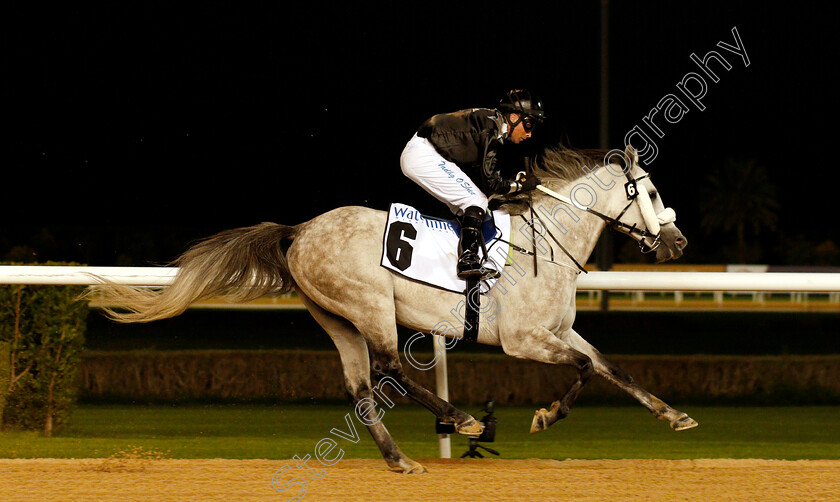 Af-Al-Sajanjle-0006 
 AF AL SAJANJLE (Tadhg O'Shea) wins The Mazrat Al Ruwayah
Meydan 14 Feb 2019 - Pic Steven Cargill / Racingfotos.com