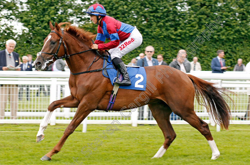 White-Mocha-0001 
 WHITE MOCHA (Josephine Gordon) Salisbury 7 Sep 2017 - Pic Steven Cargill / Racingfotos.com