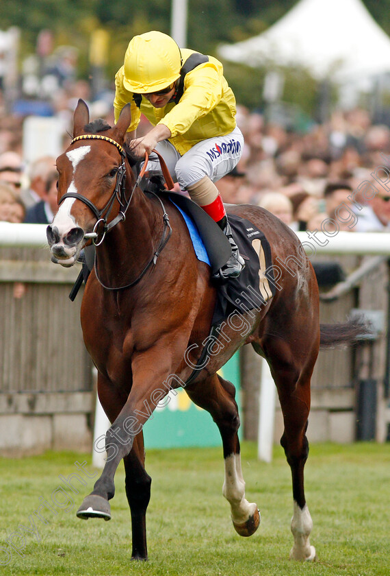 Salayel-0002 
 SALAYEL (Andrea Atzeni)
Newmarket 13 Jul 2019 - Pic Steven Cargill / Racingfotos.com