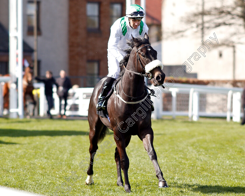 Coast-Ofalfujairah-0002 
 COAST OFALFUJAIRAH (Tom Eaves)
Musselburgh 2 Apr 2019 - Pic Steven Cargill / Racingfotos.com