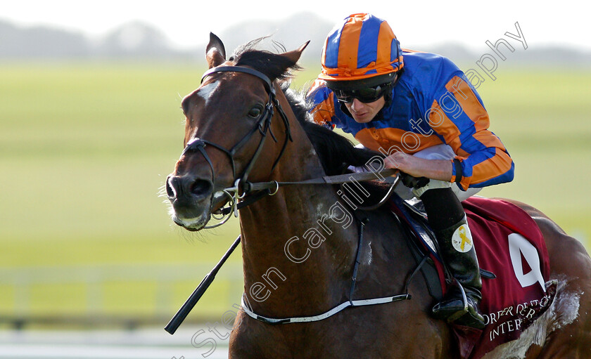 Order-Of-St-George-0009 
 ORDER OF ST GEORGE (Ryan Moore) wins The Comer Group International Irish St Leger Curragh 10 Sep 2017 - Pic Steven Cargill / Racingfotos.com