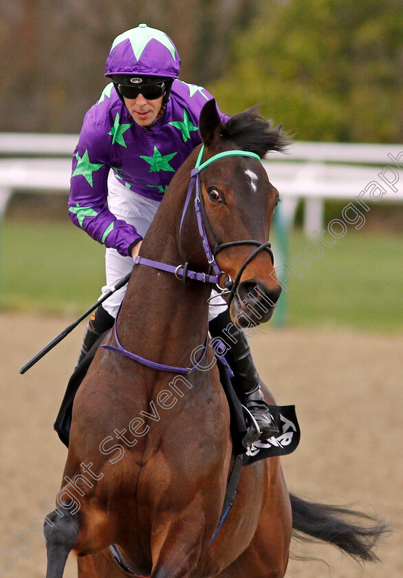 Dalgarno-0002 
 DALGARNO (Ben Curtis)
Lingfield 22 Feb 2020 - Pic Steven Cargill / Racingfotos.com