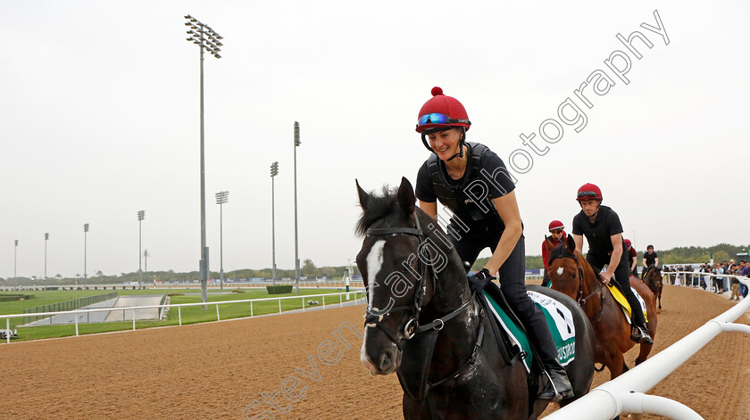 Auguste-Rodin-0001 
 AUGUSTE RODIN training for The Sheema Classic
Meydan Dubai 26 Mar 2024 - Pic Steven Cargill / Racingfotos.com