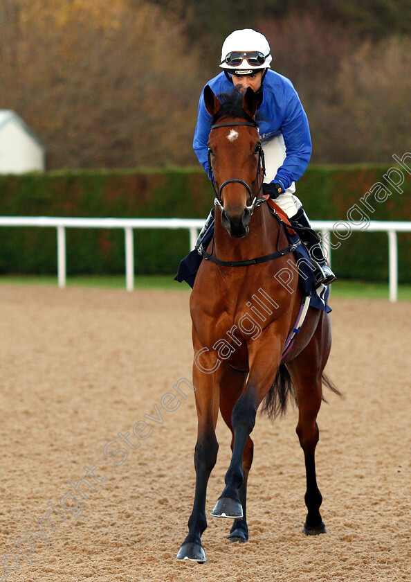 Promise-Of-Success-0001 
 PROMISE OF SUCCESS (Hayley Turner)
Wolverhampton 28 Nov 2018 - Pic Steven Cargill / Racingfotos.com