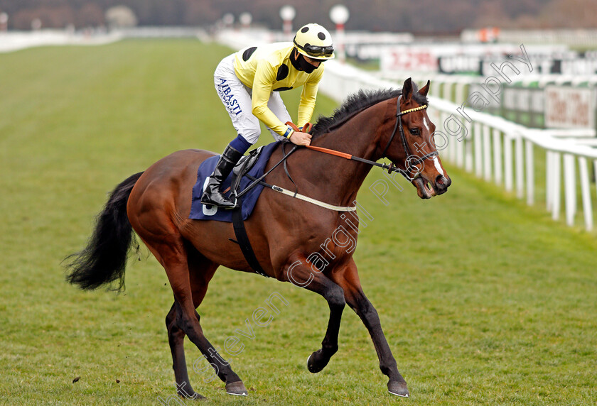 Throne-Hall-0001 
 THRONE HALL (Kevin Stott) winner of The 32Red Casino Handicap
Doncaster 28 Mar 2021 - Pic Steven Cargill / Racingfotos.com